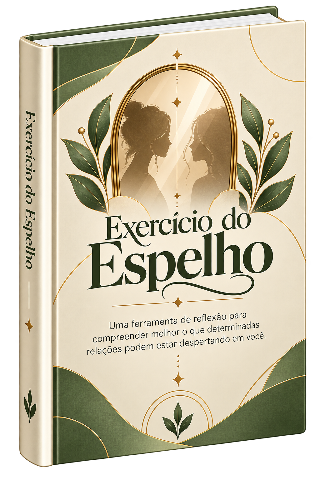 Capa do Exercício do Espelho