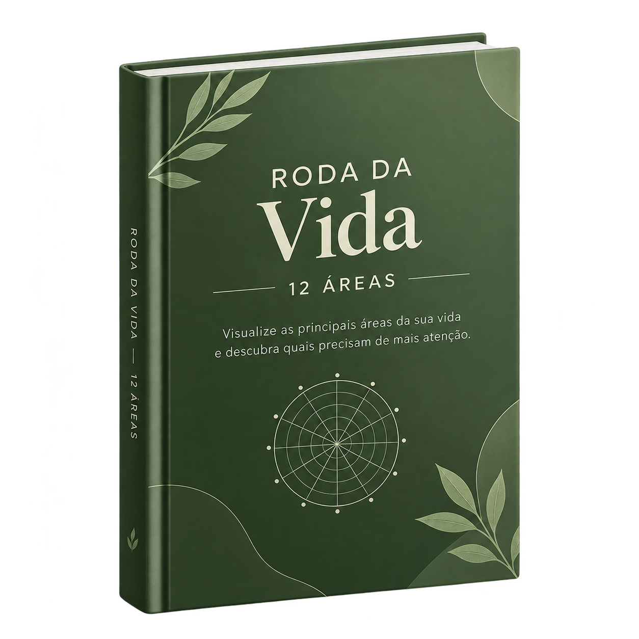 Capa da Roda da Vida — 12 Áreas
